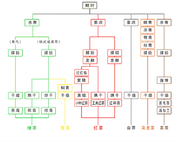 六大基本茶类制作流程图.png